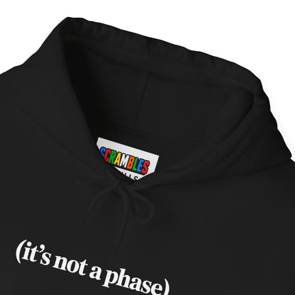 Not a Phase Unisex Heavy Blend™ Hooded Sweatshirt