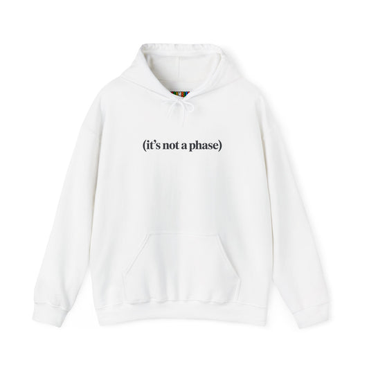 Not a Phase Unisex Heavy Blend™ Hooded Sweatshirt