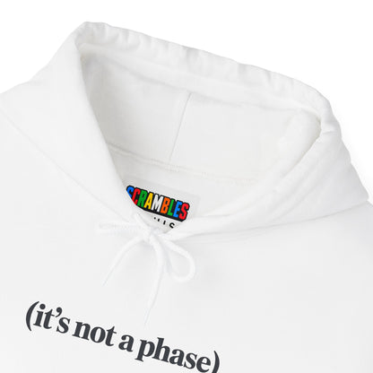 Not a Phase Unisex Heavy Blend™ Hooded Sweatshirt